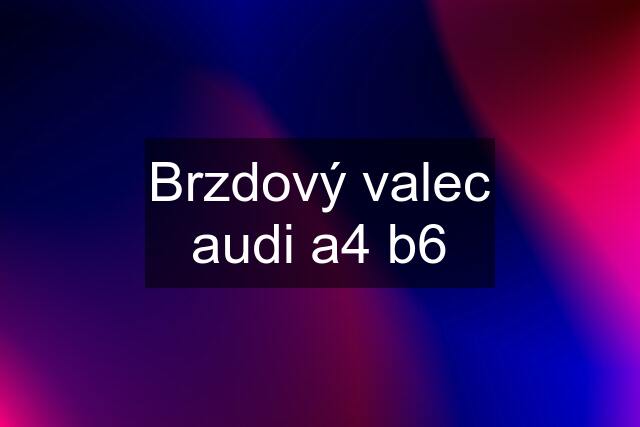 Brzdový valec audi a4 b6