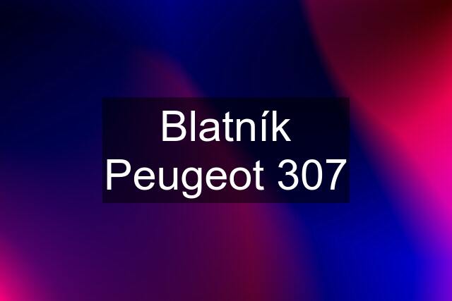 Blatník Peugeot 307