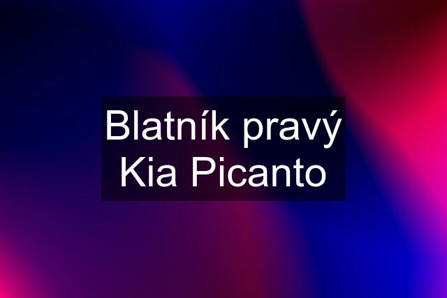 Blatník pravý Kia Picanto