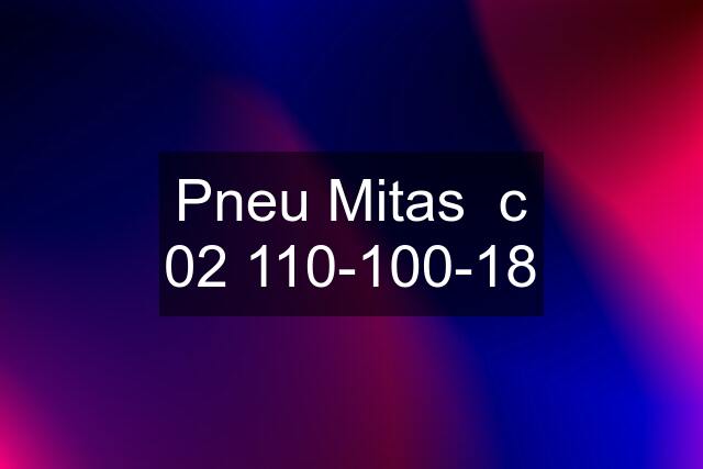 Pneu Mitas  c 02 110-100-18