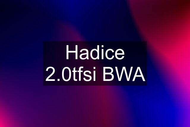 Hadice 2.0tfsi BWA