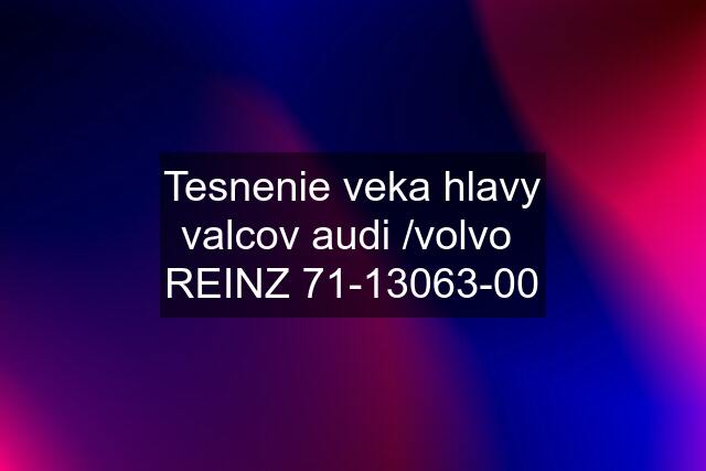 Tesnenie veka hlavy valcov audi /volvo  REINZ 71-13063-00