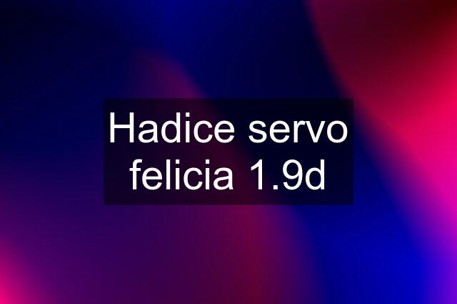 Hadice servo felicia 1.9d