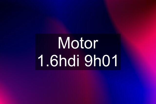 Motor 1.6hdi 9h01