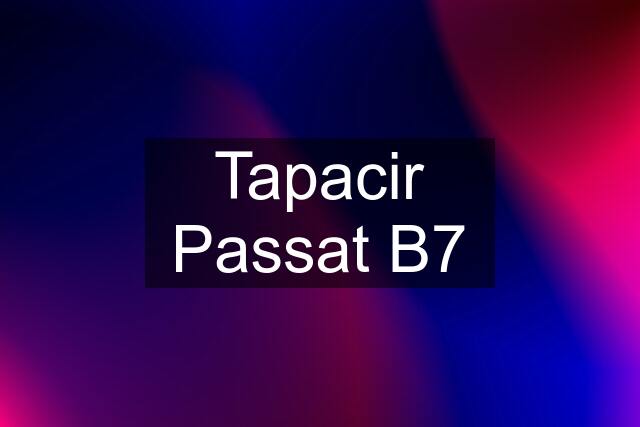 Tapacir Passat B7