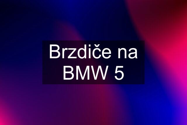 Brzdiče na BMW 5