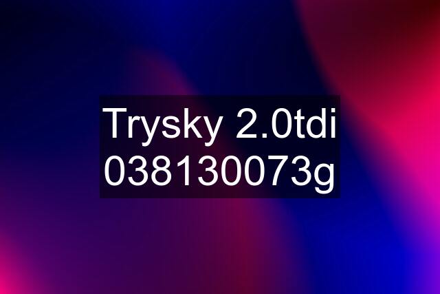 Trysky 2.0tdi 038130073g