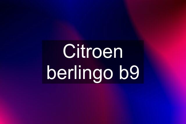 Citroen berlingo b9