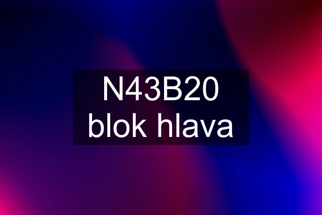 N43B20 blok hlava