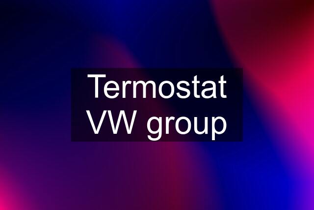 Termostat VW group