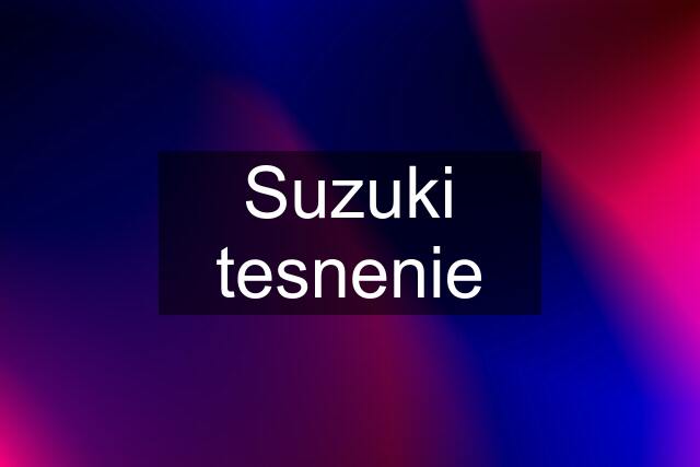 Suzuki tesnenie