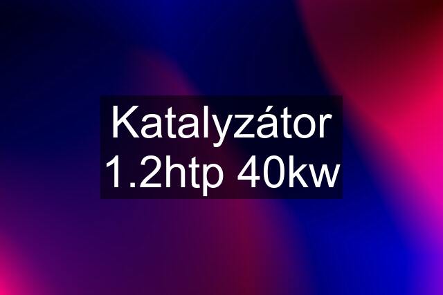 Katalyzátor 1.2htp 40kw