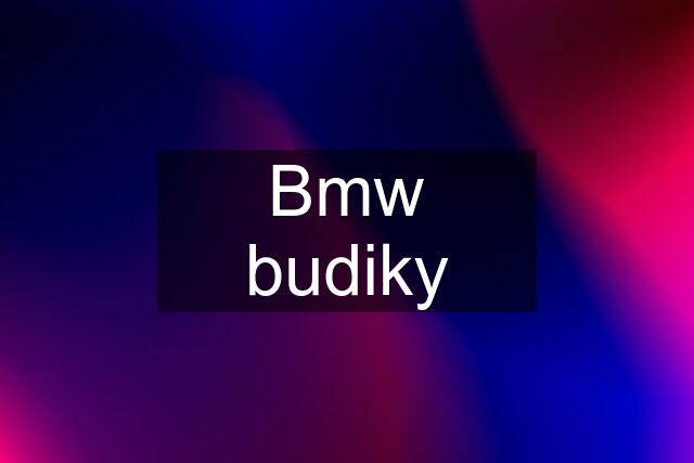 Bmw budiky