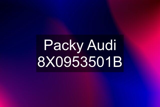 Packy Audi 8X0953501B