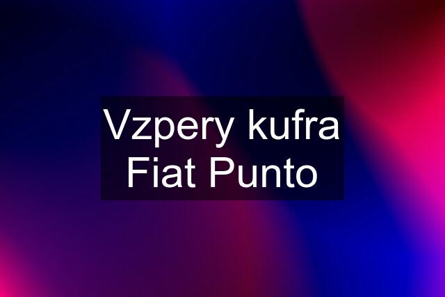 Vzpery kufra Fiat Punto