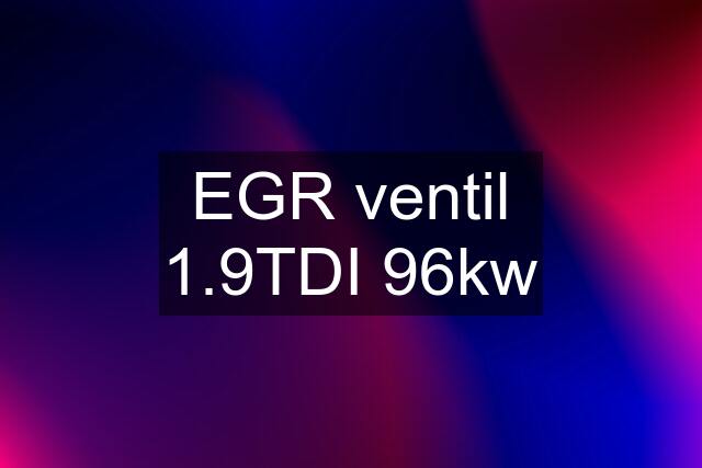 EGR ventil 1.9TDI 96kw