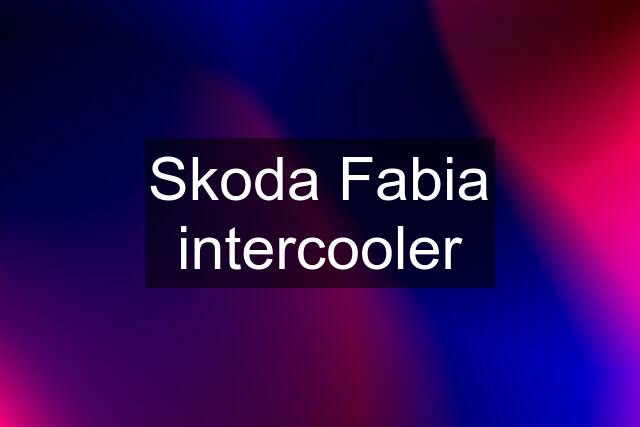 Skoda Fabia intercooler