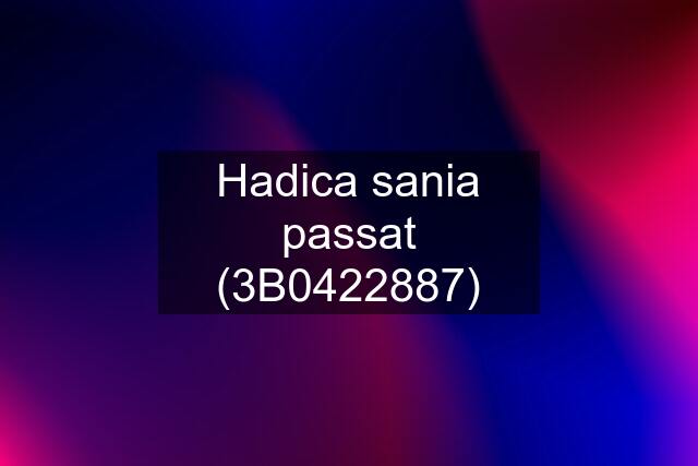 Hadica sania passat (3B0422887)