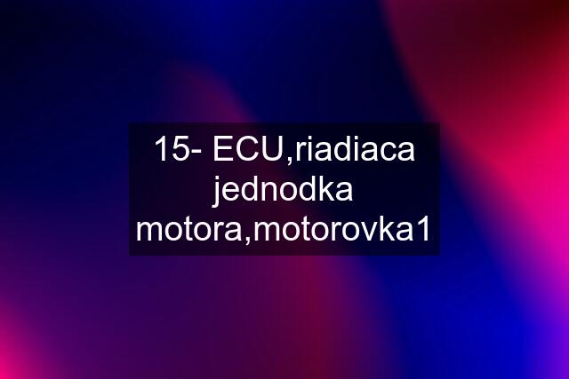 15- ECU,riadiaca jednodka motora,motorovka1