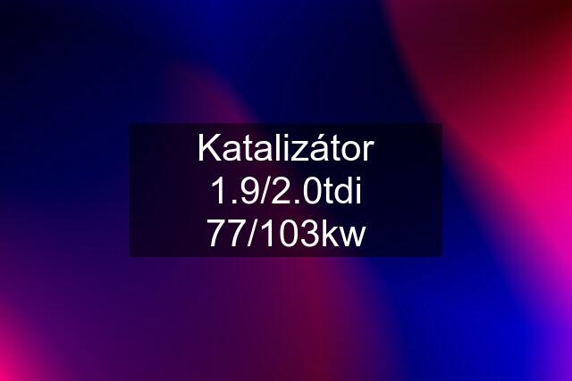 Katalizátor 1.9/2.0tdi 77/103kw