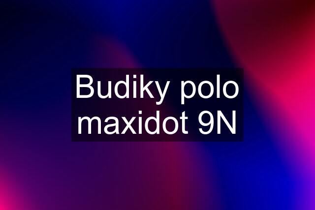 Budiky polo maxidot 9N