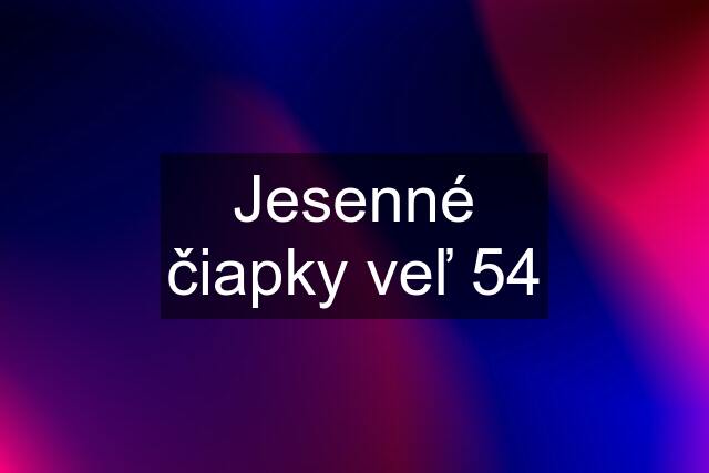 Jesenné čiapky veľ 54