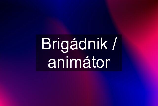 Brigádnik / animátor