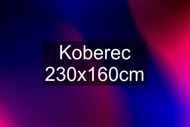 Koberec 230x160cm