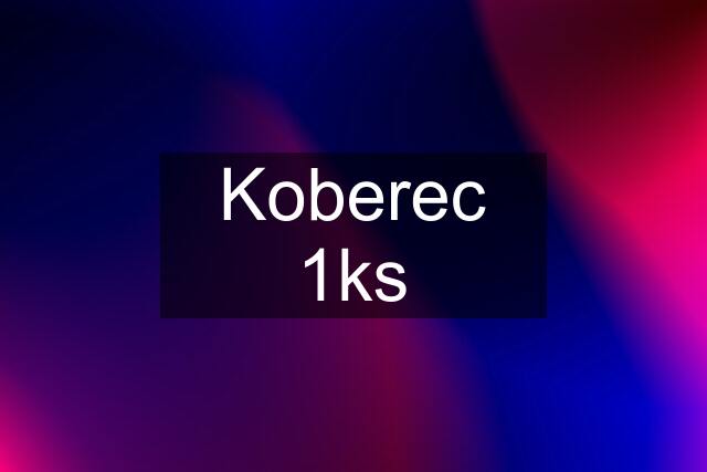 Koberec 1ks