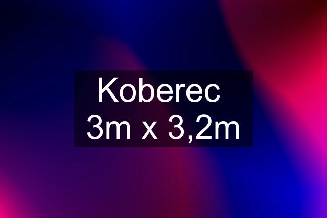 Koberec  3m x 3,2m