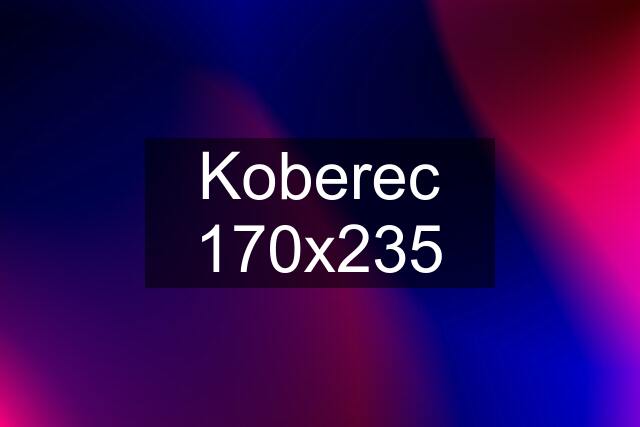 Koberec 170x235