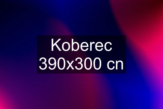 Koberec 390x300 cn