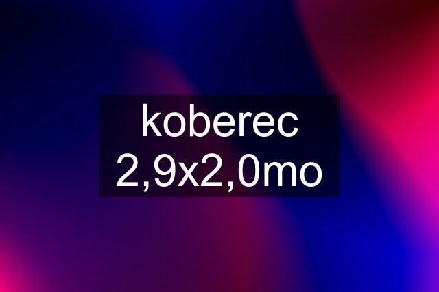 koberec 2,9x2,0mo