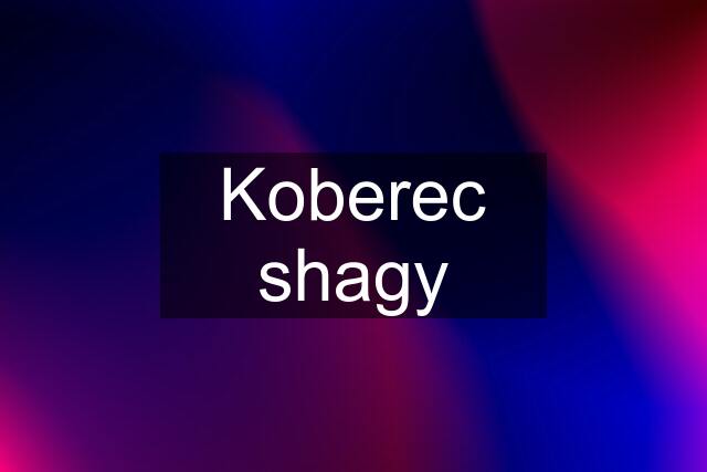 Koberec shagy