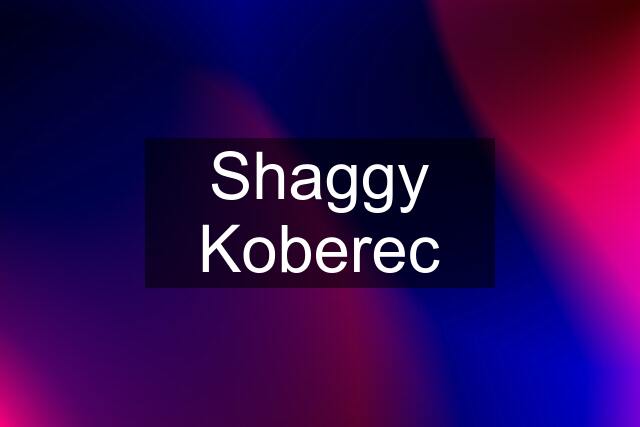 Shaggy Koberec