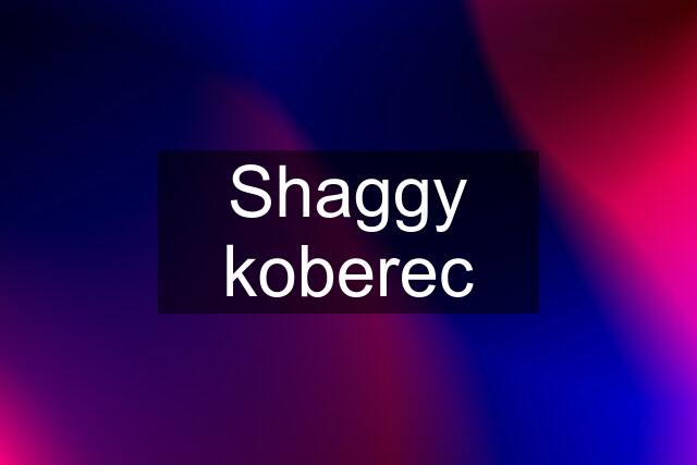 Shaggy koberec