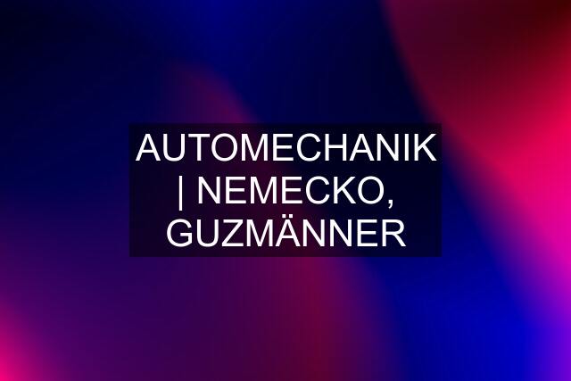 AUTOMECHANIK | NEMECKO, GUZMÄNNER