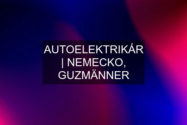 AUTOELEKTRIKÁR | NEMECKO, GUZMÄNNER