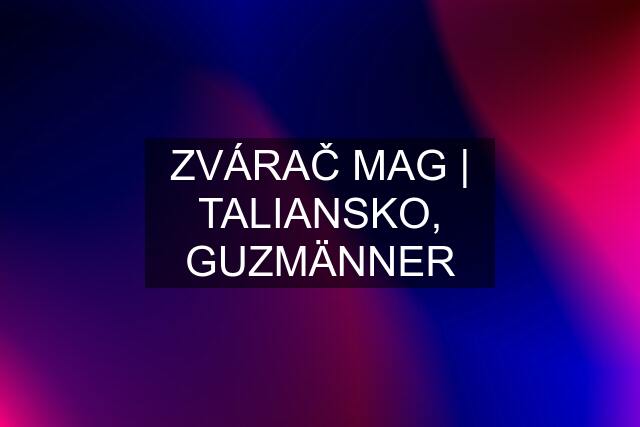 ZVÁRAČ MAG | TALIANSKO, GUZMÄNNER