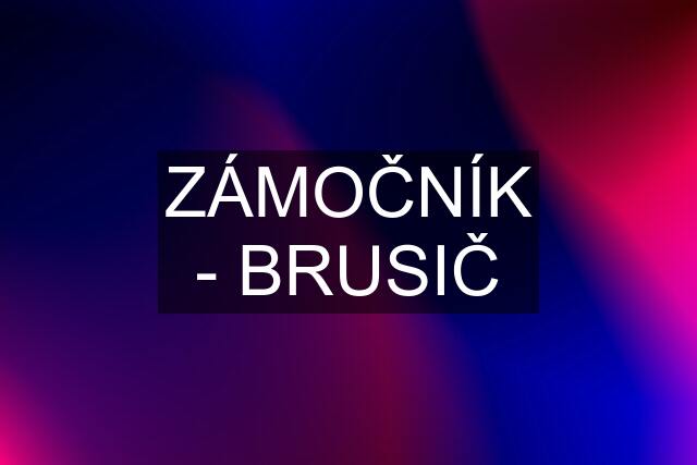 ZÁMOČNÍK - BRUSIČ