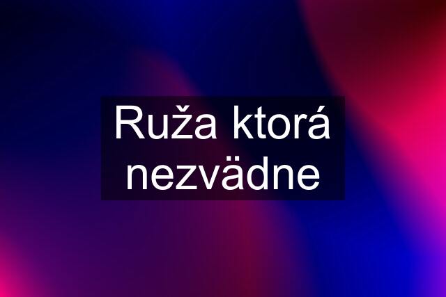 Ruža ktorá nezvädne