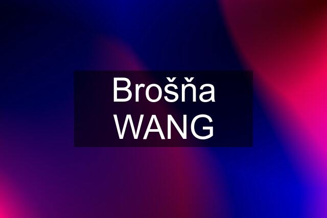 Brošňa WANG