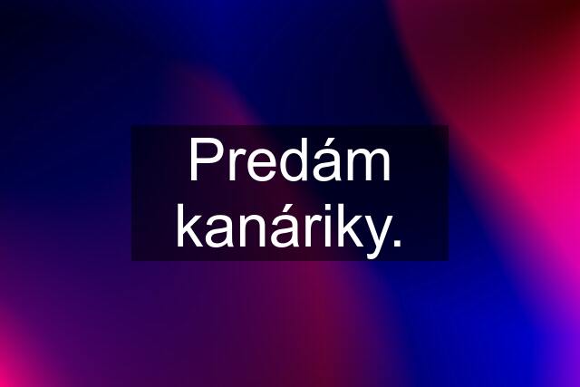 Predám kanáriky.