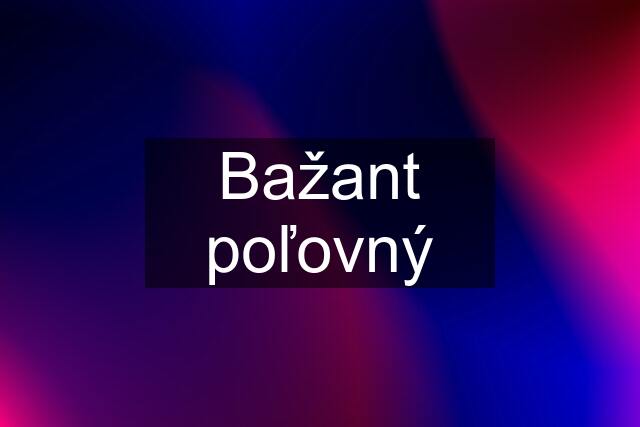 Bažant poľovný