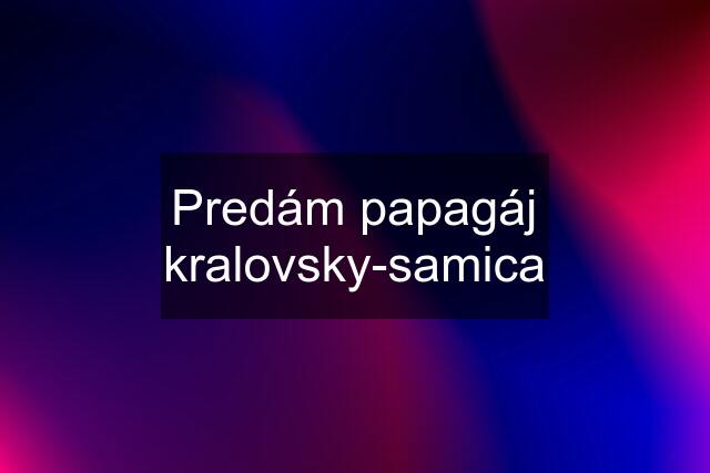 Predám papagáj kralovsky-samica