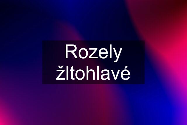 Rozely žltohlavé