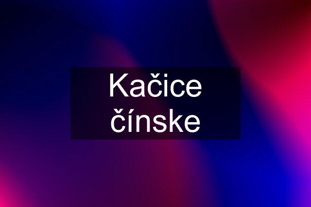 Kačice čínske