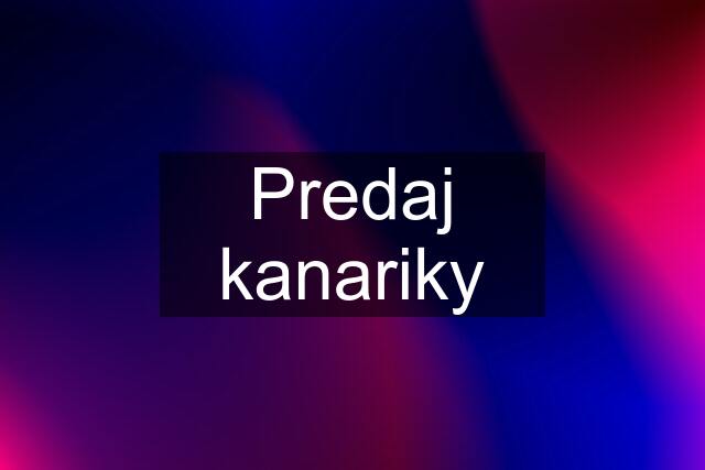 Predaj kanariky