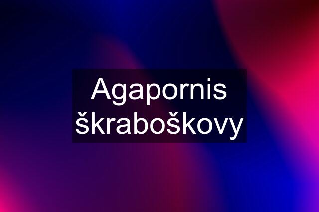 Agapornis škraboškovy