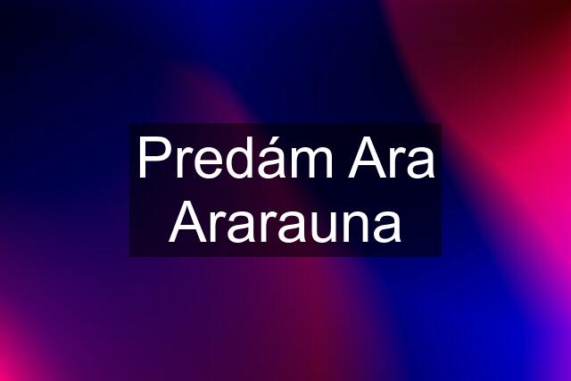 Predám Ara Ararauna